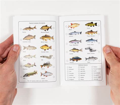 Fishing Guidebook .